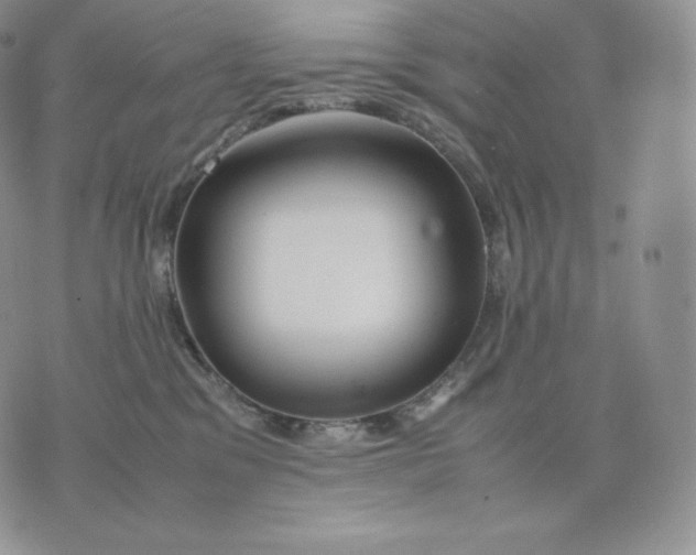 X0000075410329200609291712