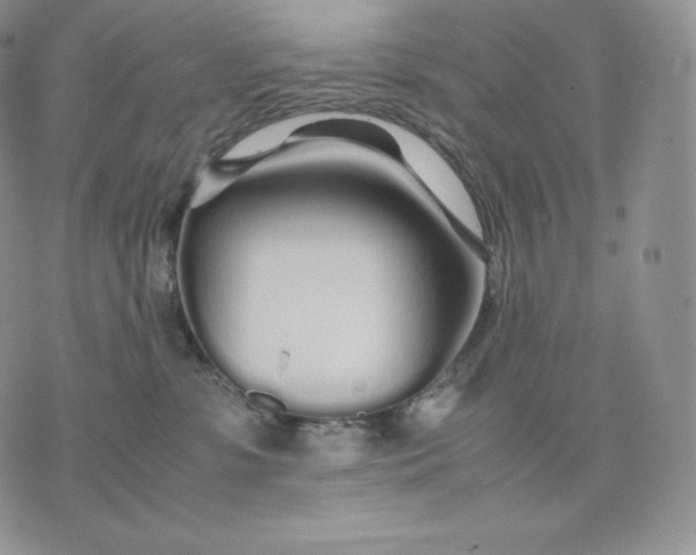 X0000075410331200609291712