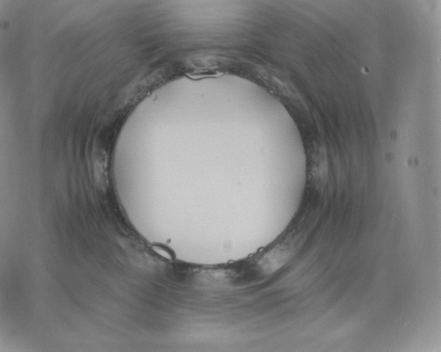 X0000075410332200609291712