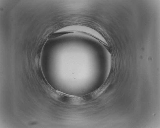 X0000075410333200609291712