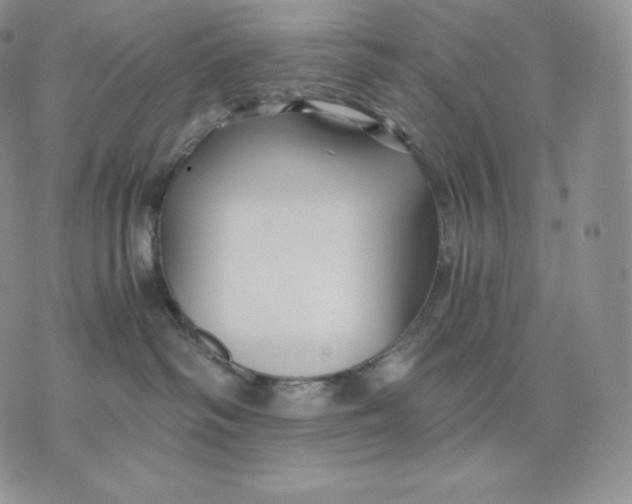 X0000075410334200609291712