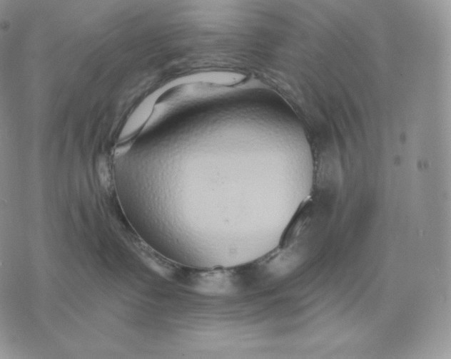 X0000075410335200609291712