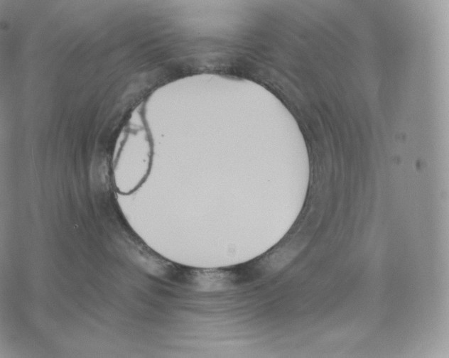 X0000075410336200609291712