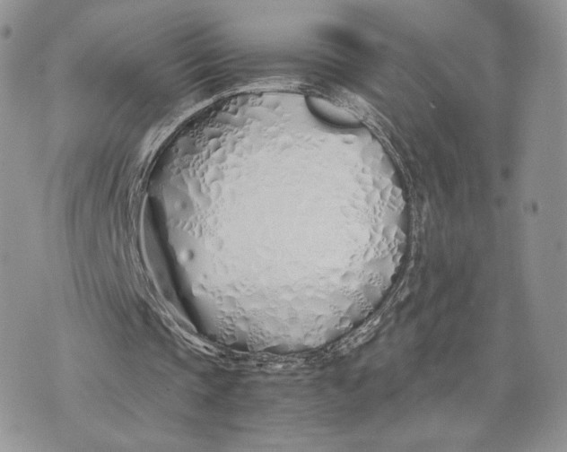 X0000075410337200609291712