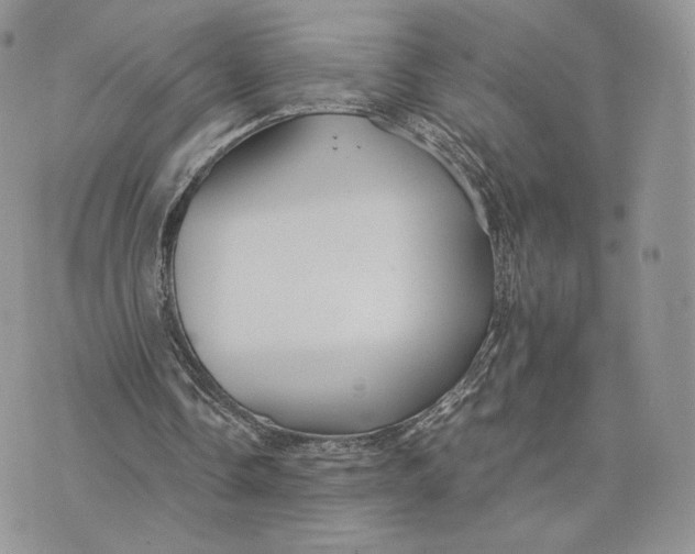 X0000075410338200609291712