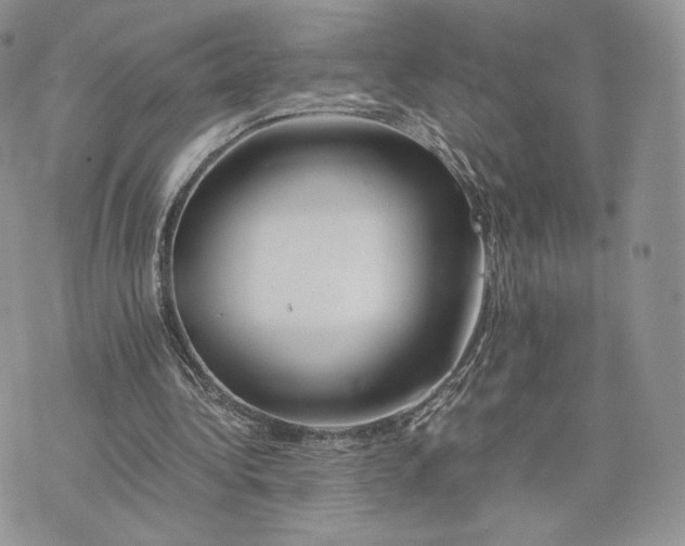 X0000075410340200609291712