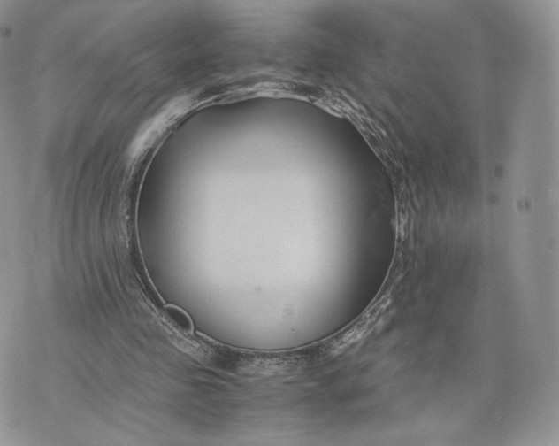 X0000075410341200609291712