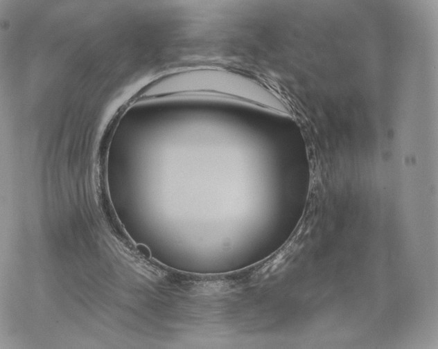 X0000075410342200609291712