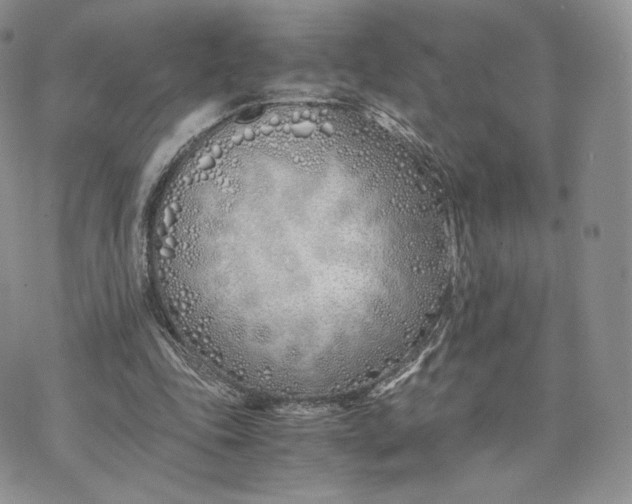 X0000075410343200609291712