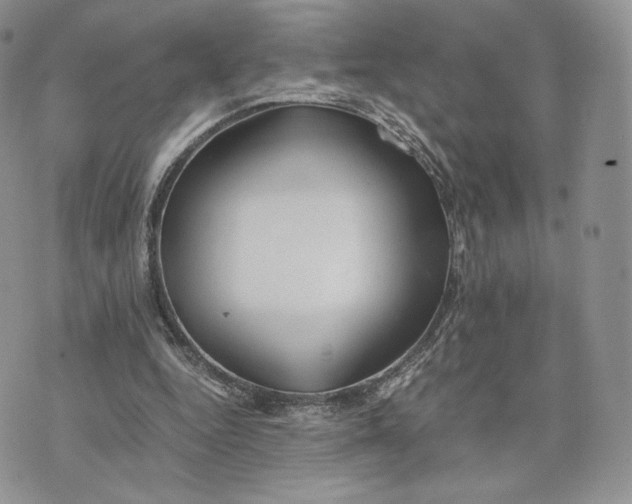 X0000075410344200609291712