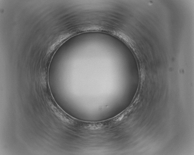 X0000075410345200609291712