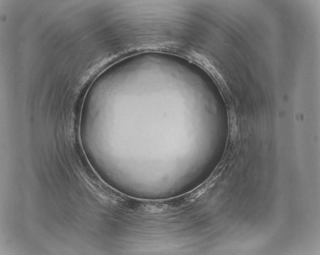 X0000075410346200609291712