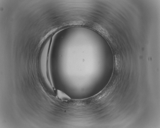 X0000075410348200609291712