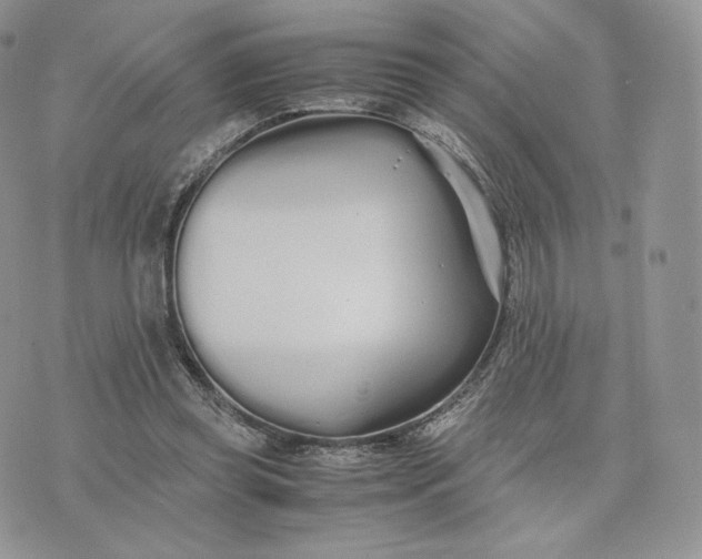 X0000075410349200609291712