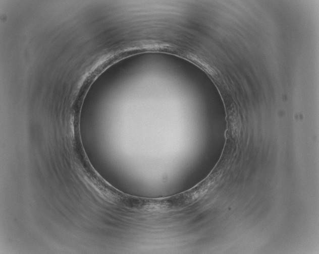 X0000075410350200609291712