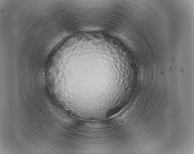 X0000075410351200609291712