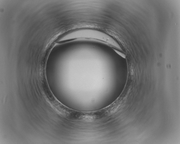 X0000075410352200609291712