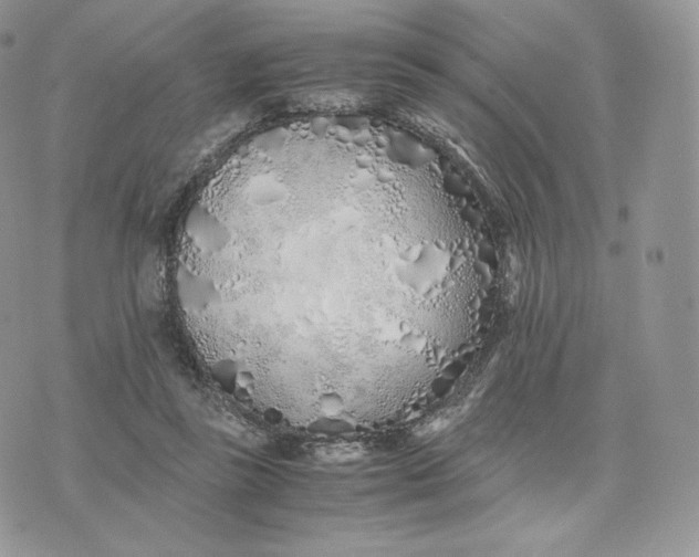 X0000075410355200609291712