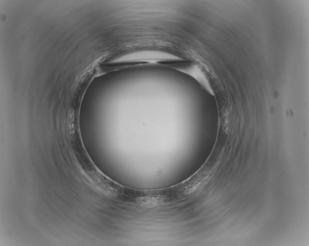 X0000075410356200609291712