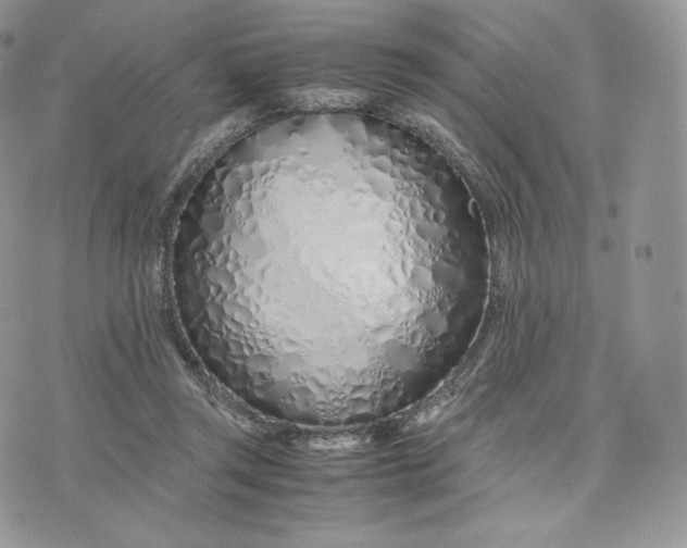 X0000075410357200609291712