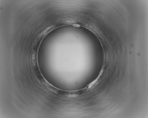 X0000075410360200609291712