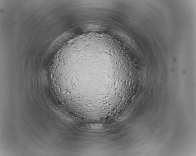 X0000075410361200609291712