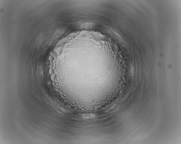 X0000075410363200609291712