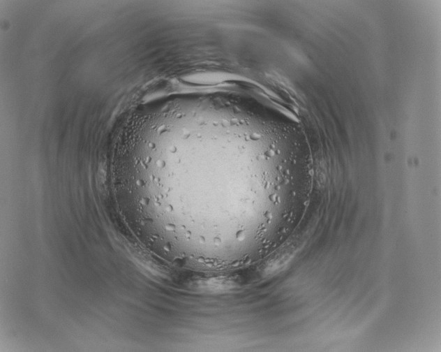 X0000075410365200609291712