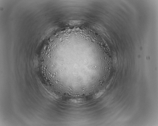 X0000075410367200609291712