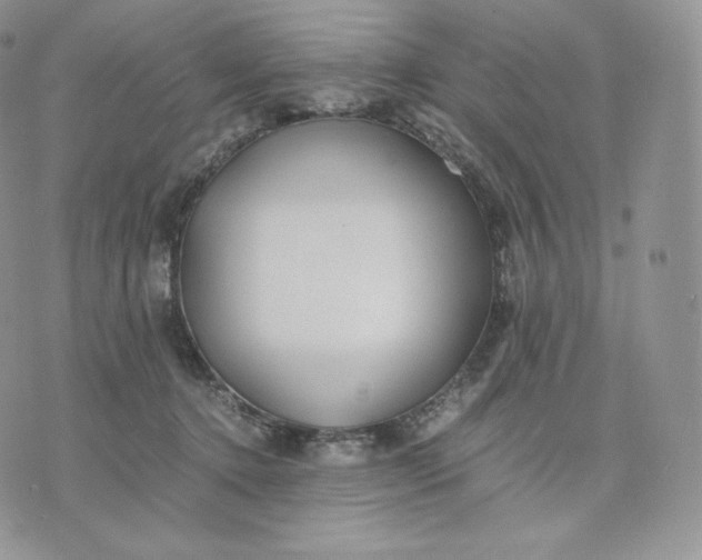 X0000075410368200609291712