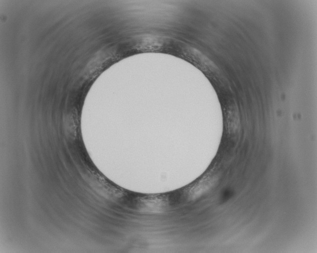 X0000075410370200609291712