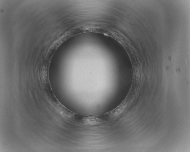 X0000075410372200609291712