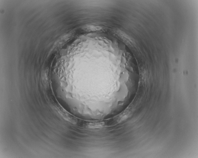 X0000075410373200609291712