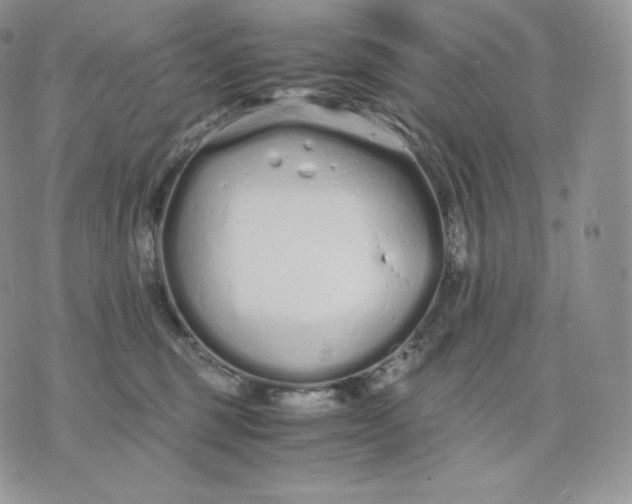 X0000075410375200609291712