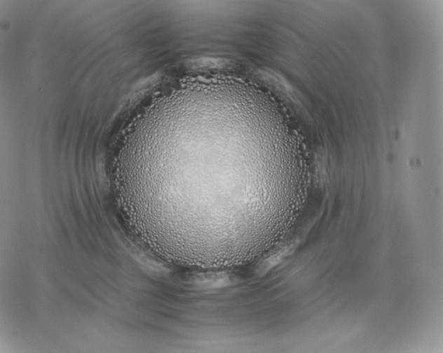 X0000075410377200609291712