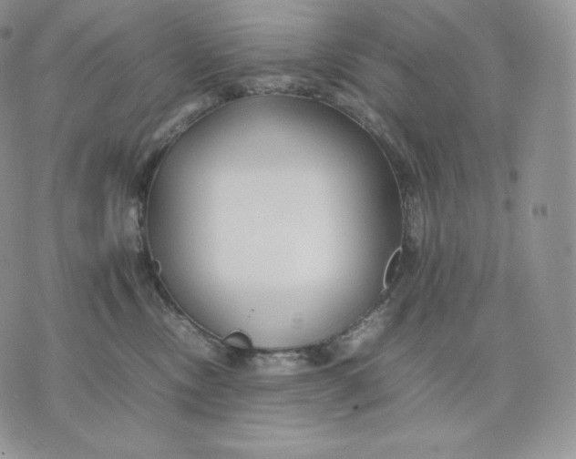 X0000075410378200609291712