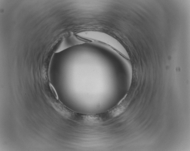 X0000075410380200609291712