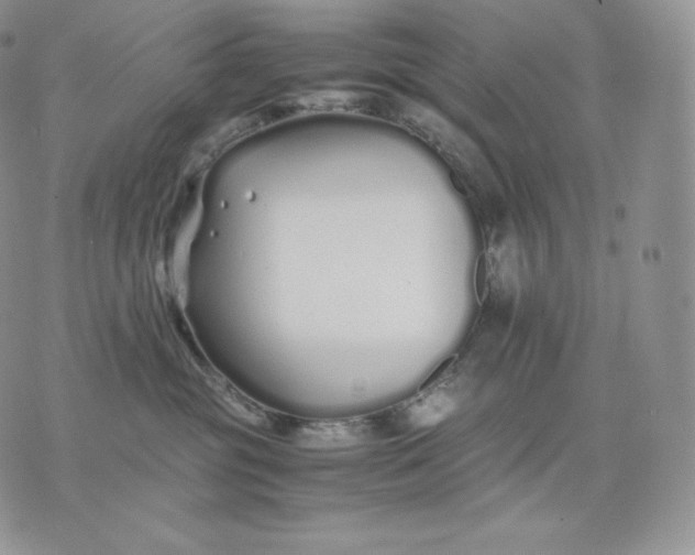 X0000075410381200609291712