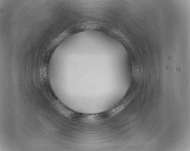 X0000075410382200609291712