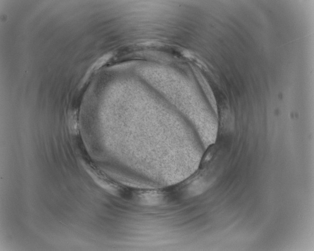 X0000075410383200609291712