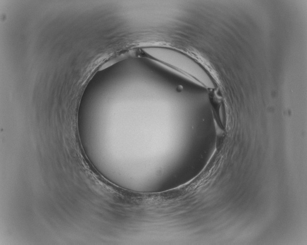 X0000075410385200609291712