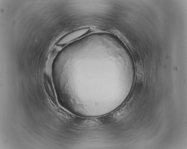 X0000075410386200609291712