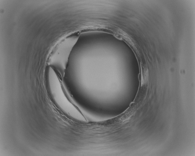 X0000075410387200609291712