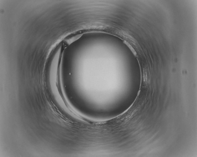 X0000075410388200609291712