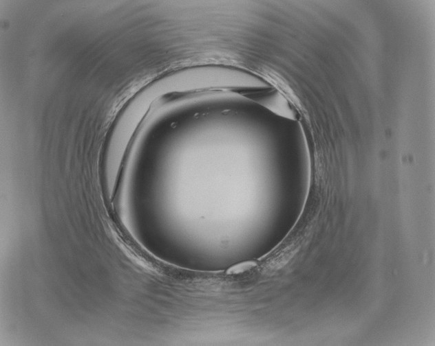 X0000075410389200609291712