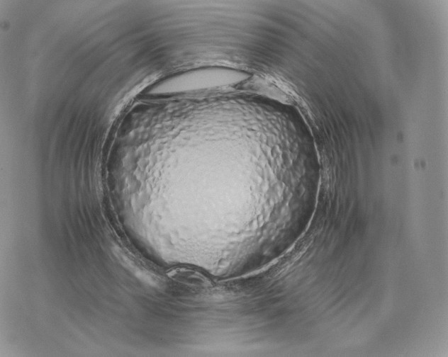 X0000075410390200609291711