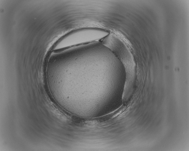 X0000075410391200609291711