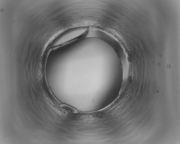 X0000075410392200609291711