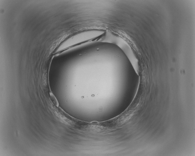 X0000075410393200609291711