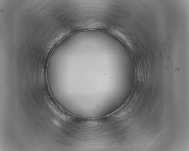 X0000075410394200609291711